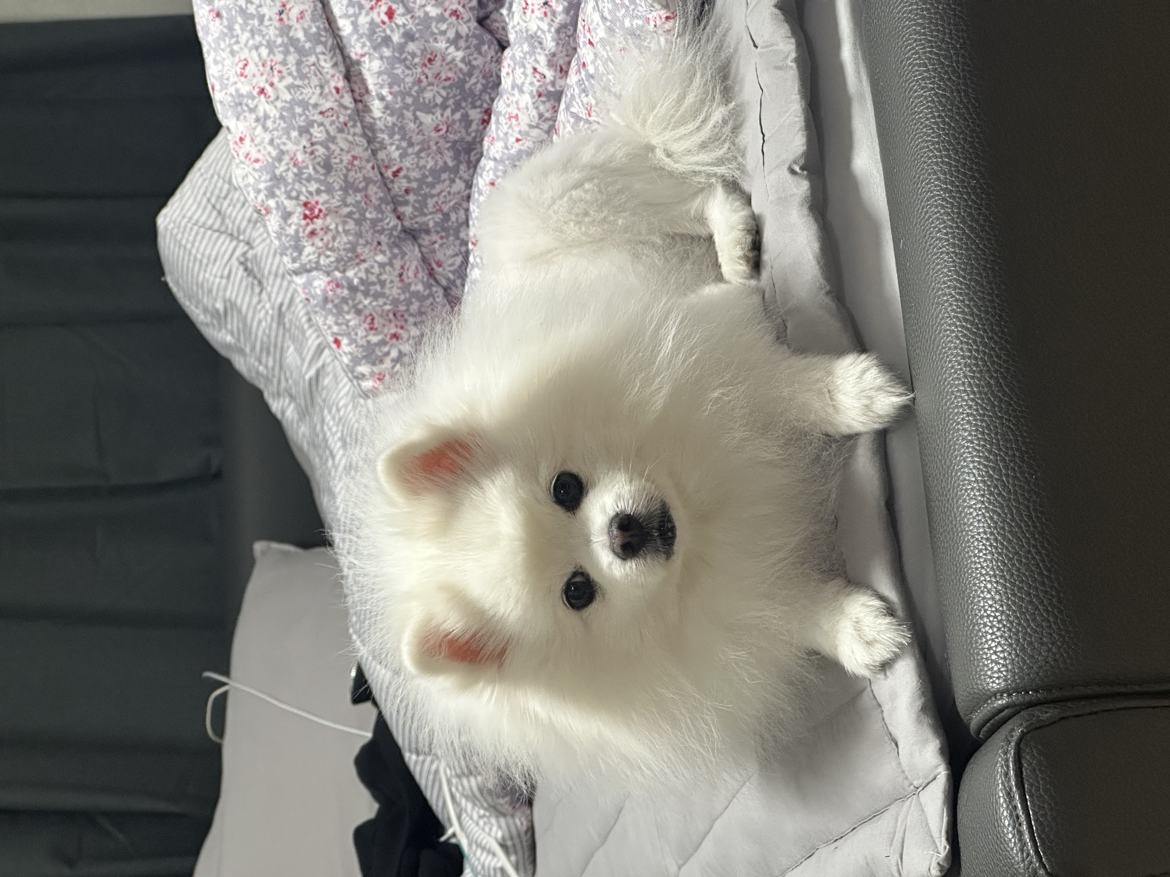 탈퇴한 회원 프로필 이미지