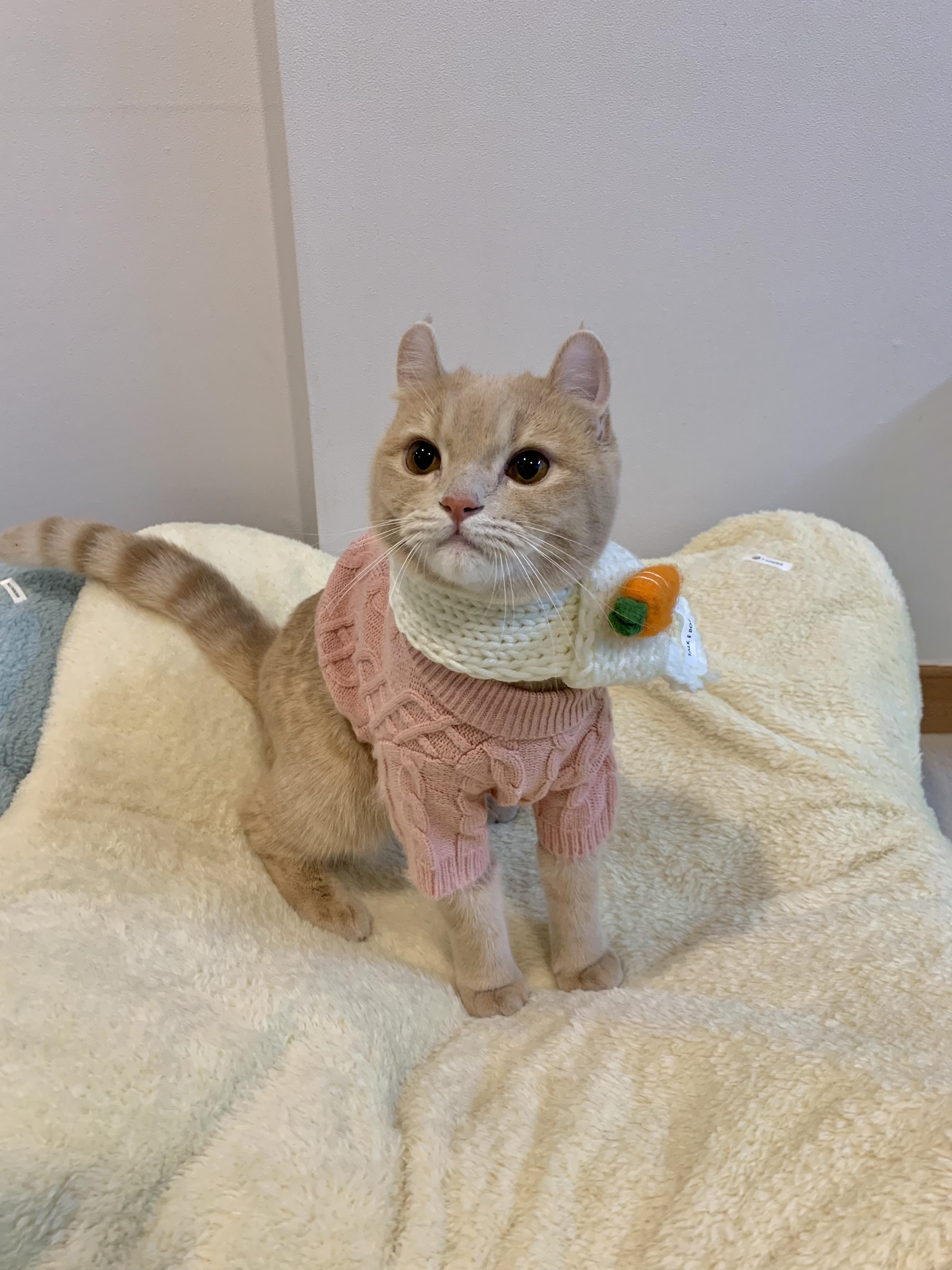 kebi.do 프로필 이미지