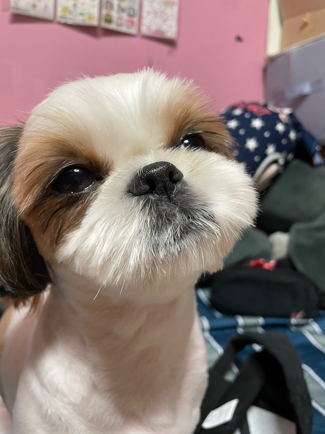 꼭찌 프로필 이미지