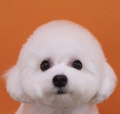 리치 프로필 이미지