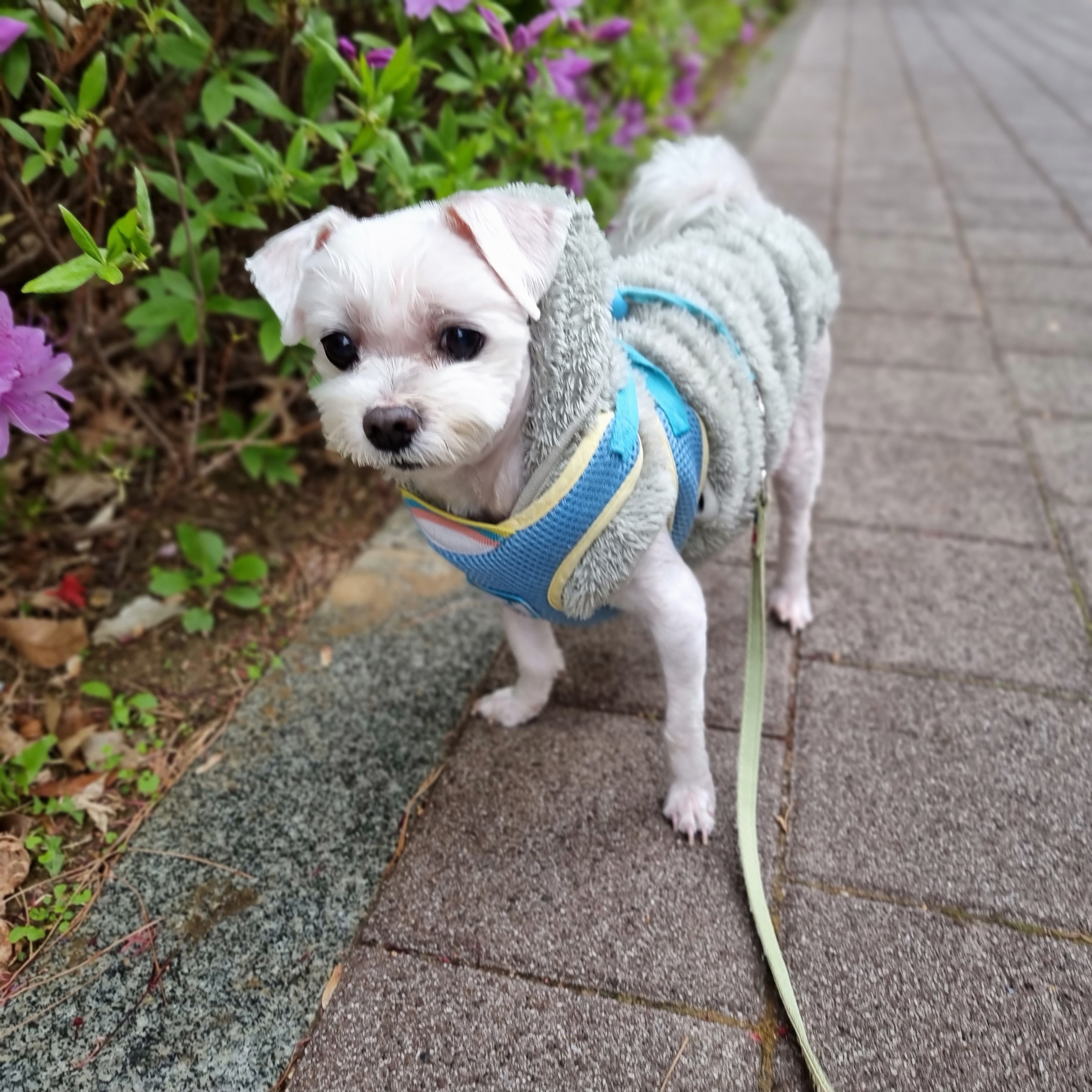 레이뽀 프로필 이미지