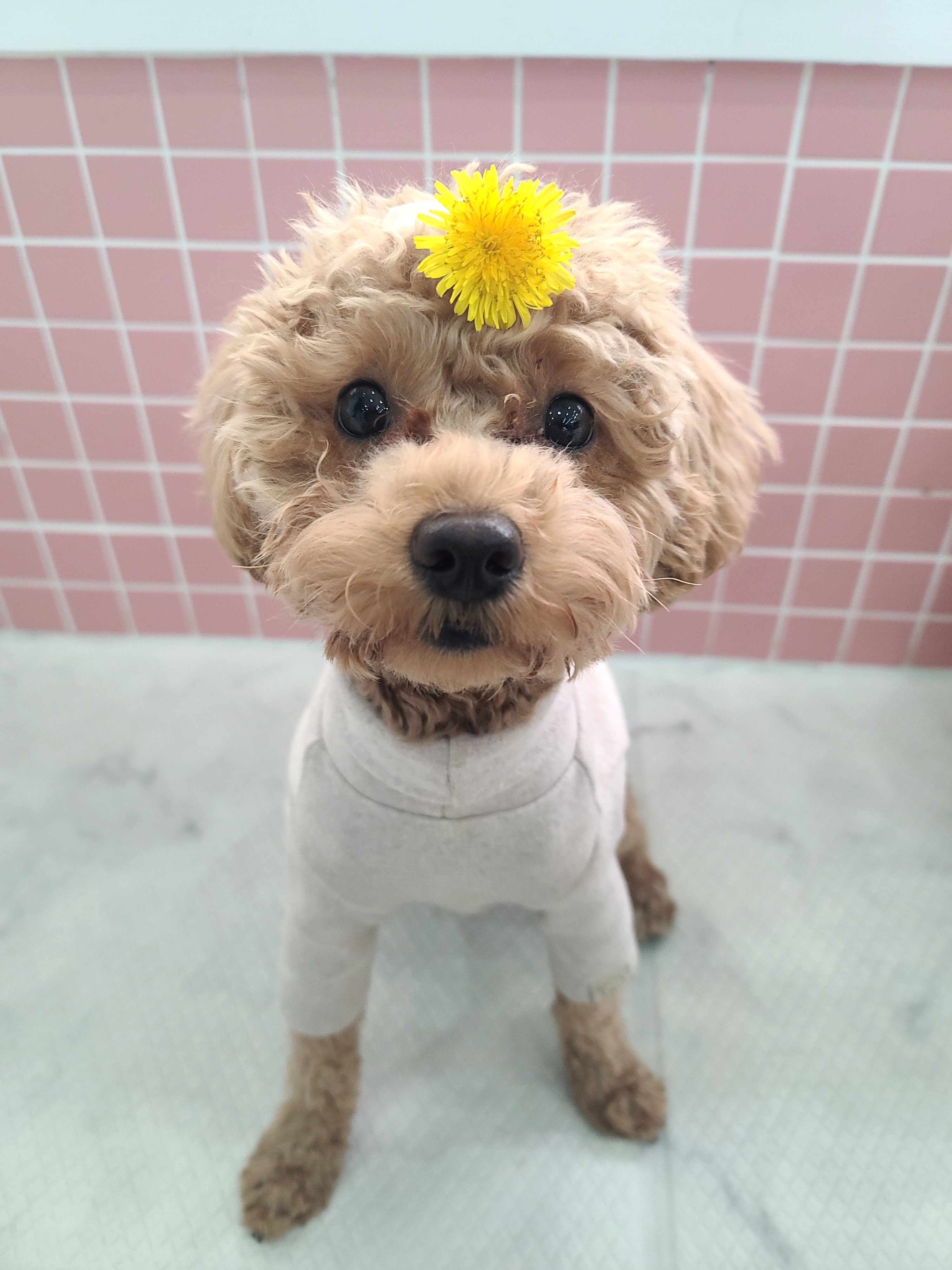 쥬뚜 프로필 이미지