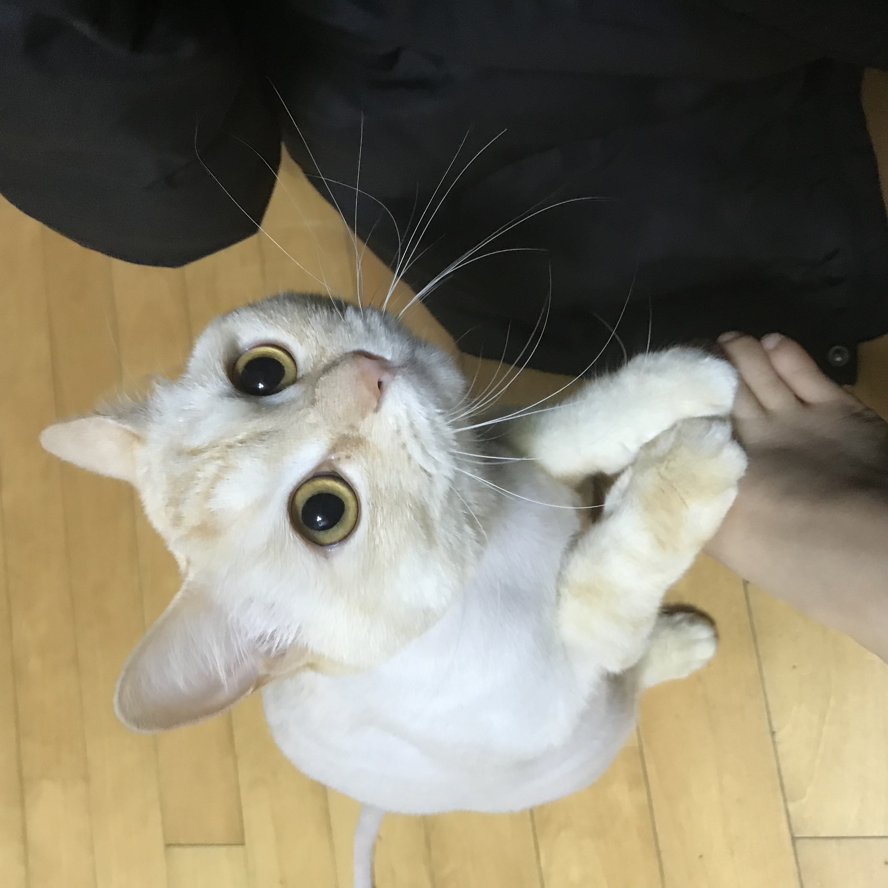수아 프로필 이미지
