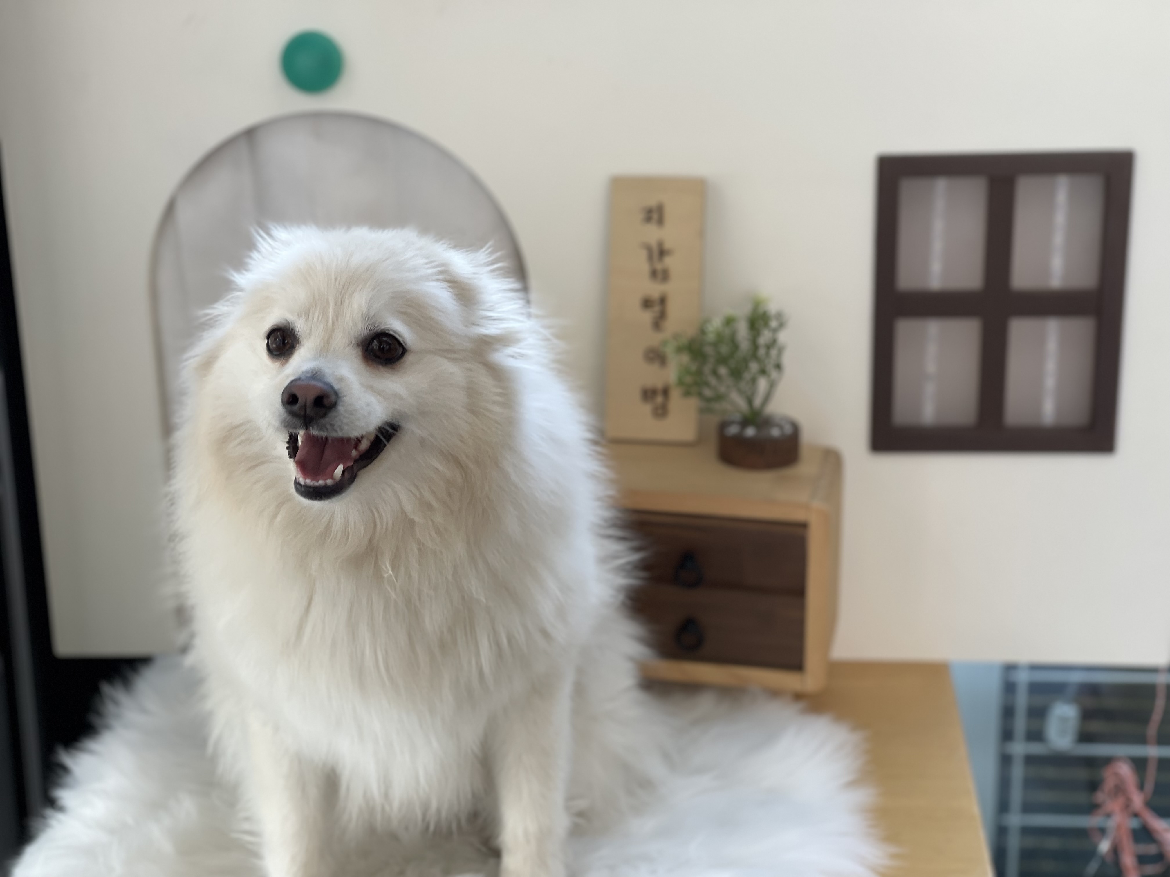 꽃밭맘 프로필 이미지