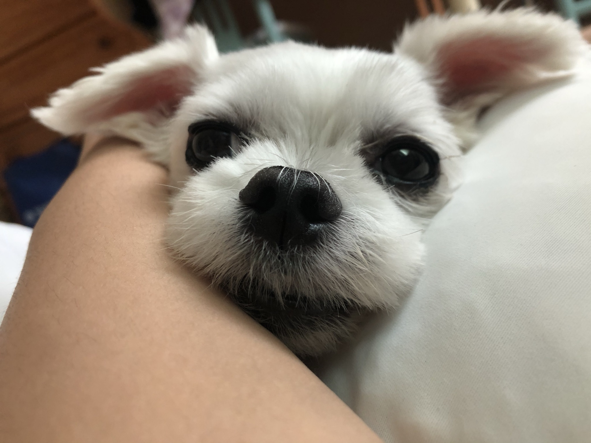 기욤설이 프로필 이미지