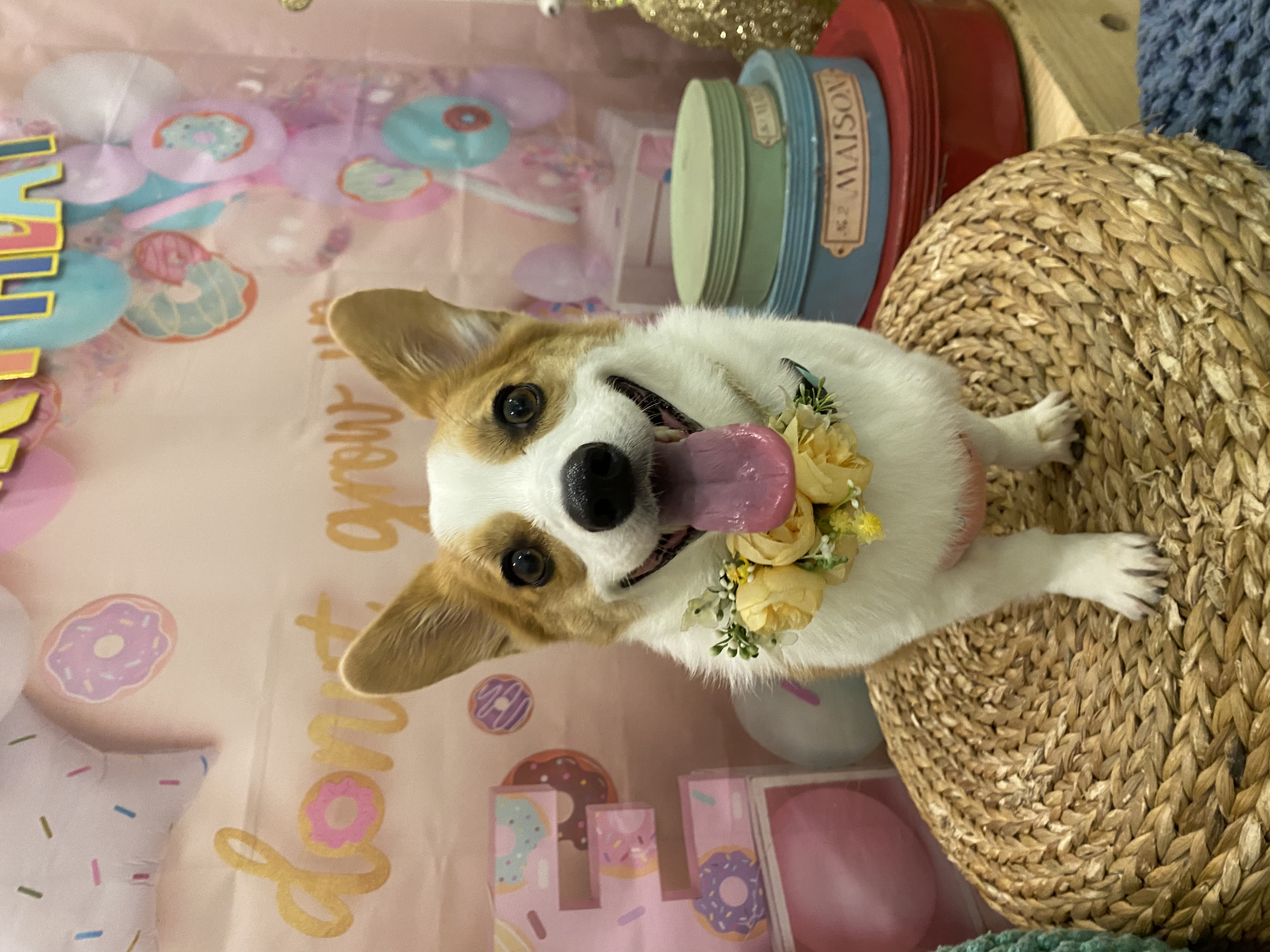 mei 프로필 이미지