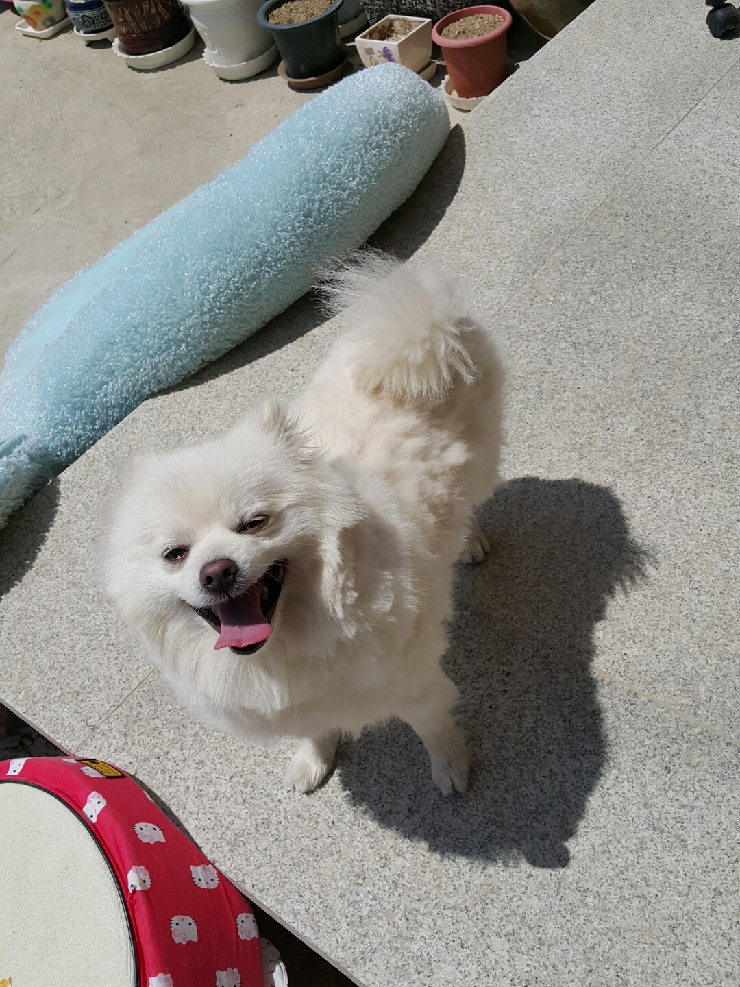 수땡 프로필 이미지