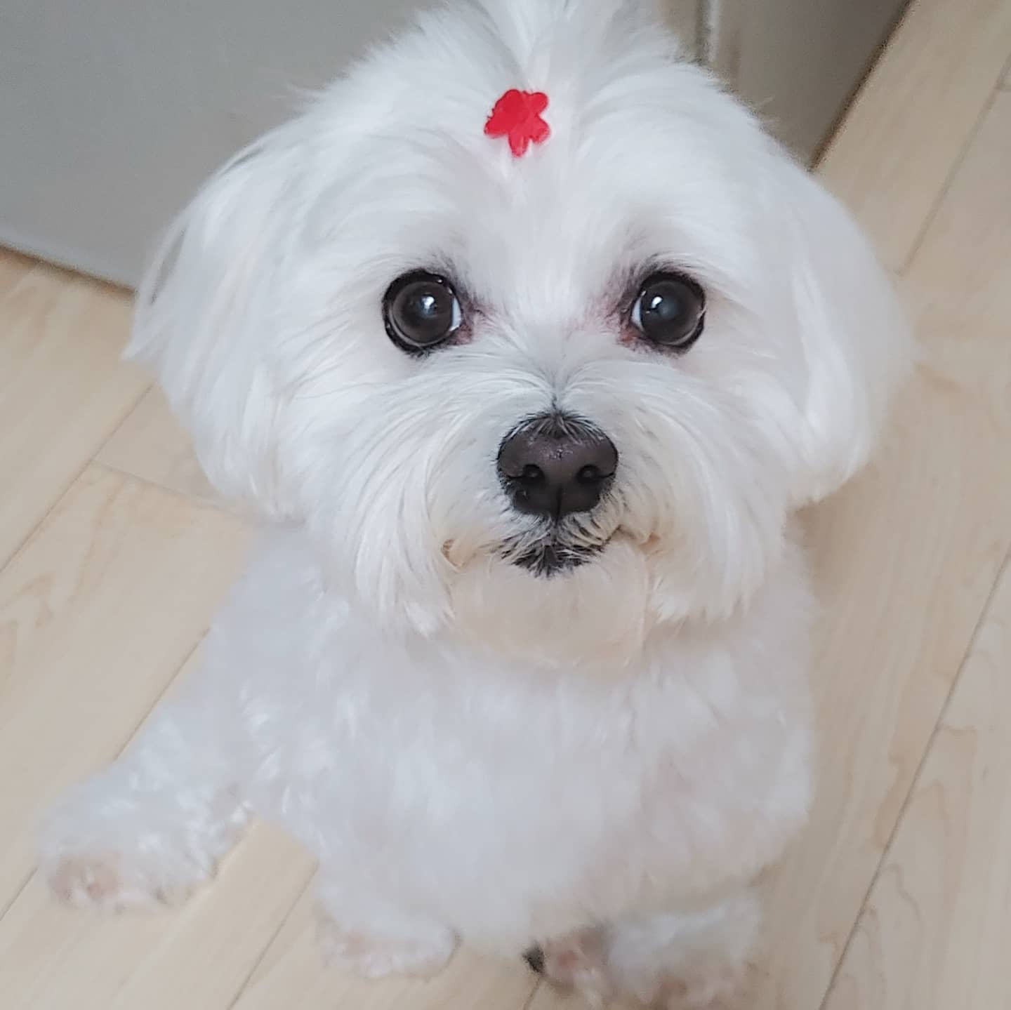 닌꼬맘 프로필 이미지