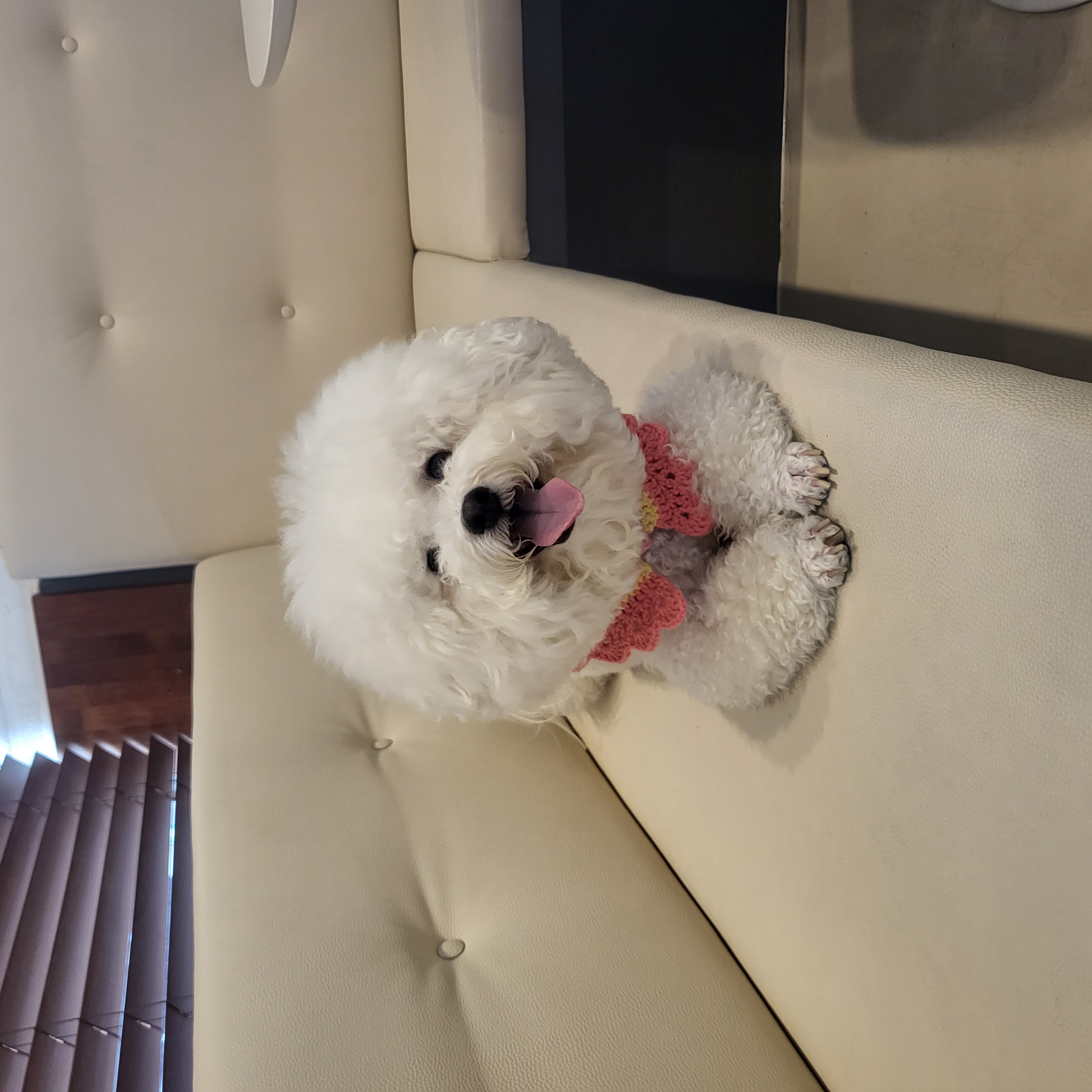 두호만 프로필 이미지