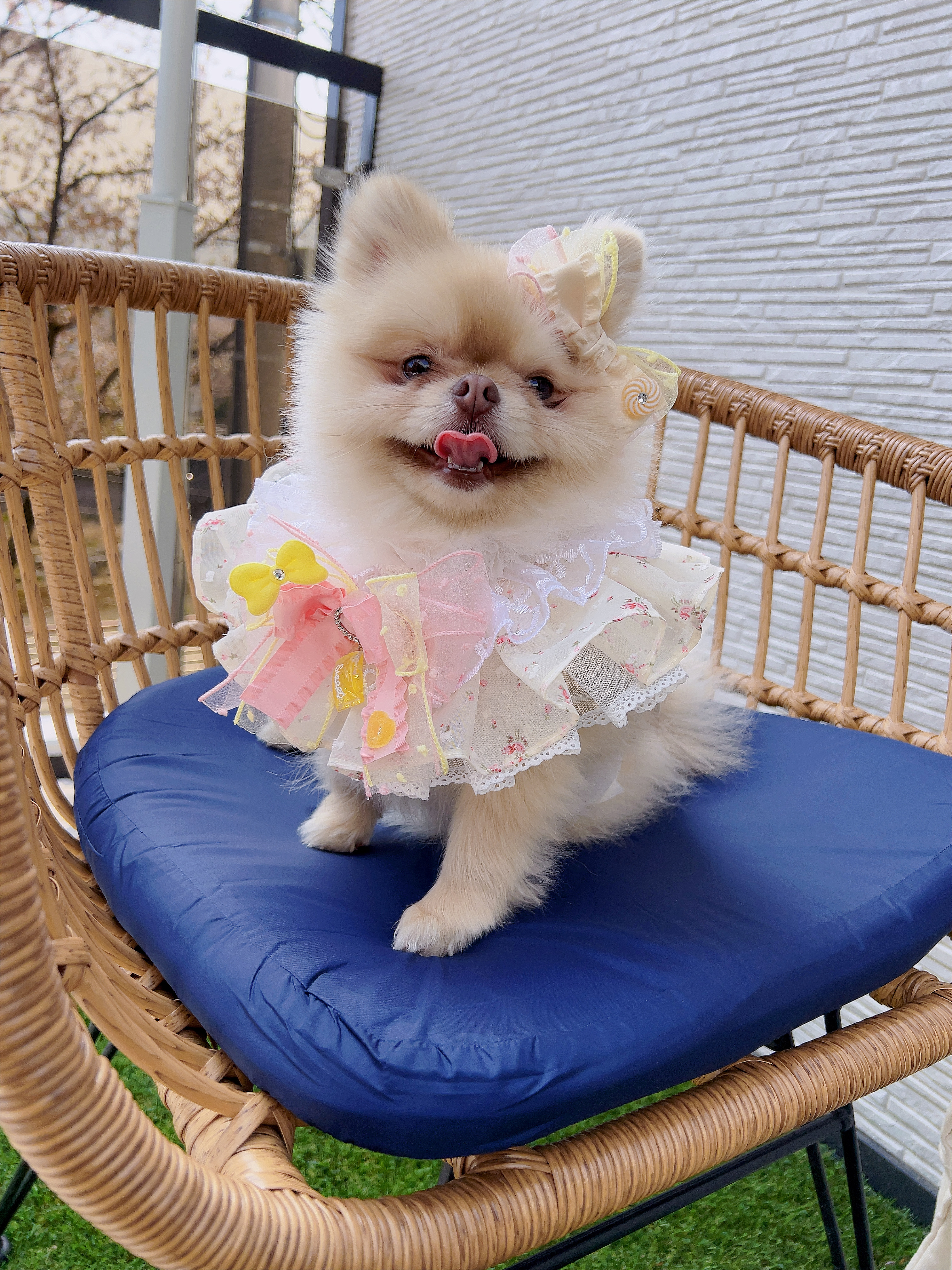 하늘위로 하늘이 프로필 이미지