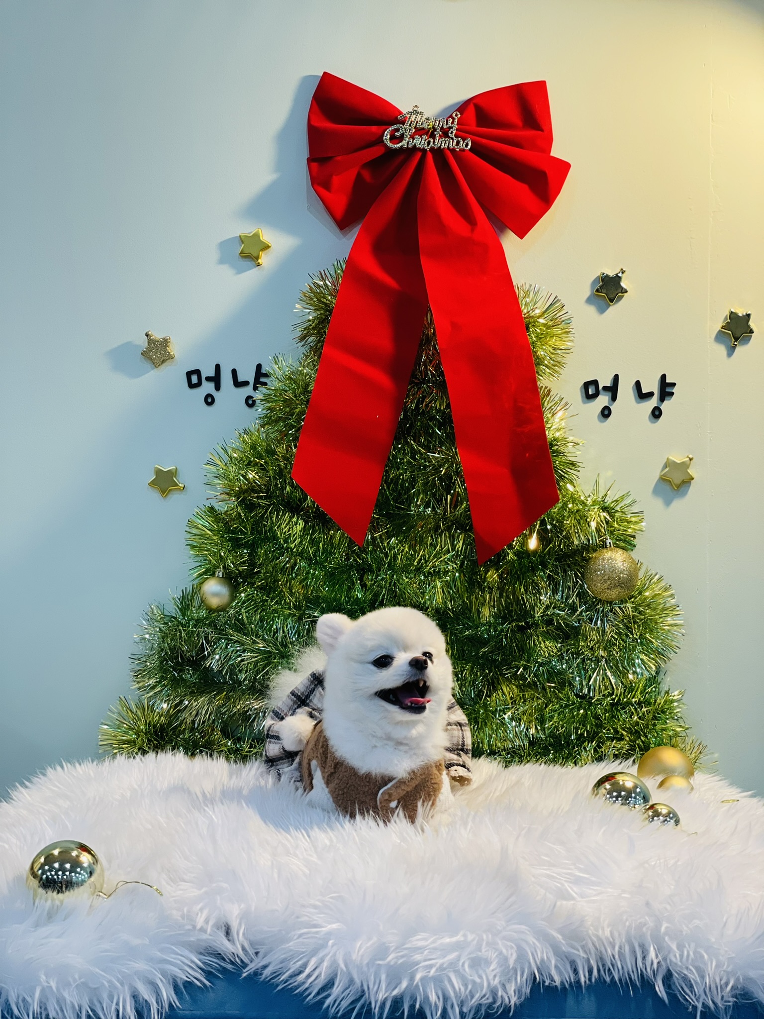 젤리엄마 프로필 이미지